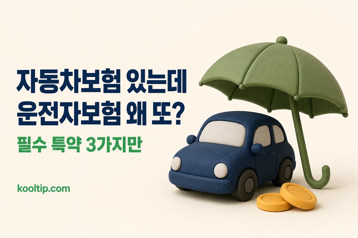 운전자보험 안내 이미지