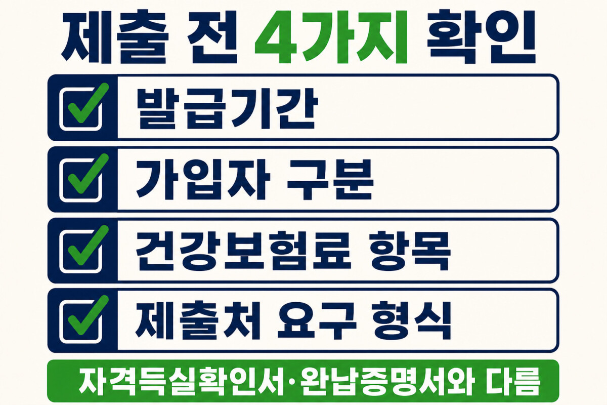 건강보험료 납부확인서 발급기간 가입자 구분 보험료 항목 제출 형식 체크 인포그래픽