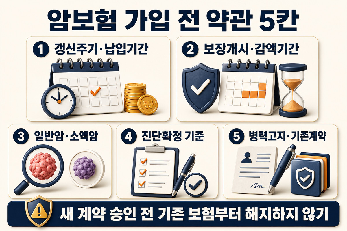 암보험 가입 전 갱신주기 보장개시 암 분류 진단확정 고지 기존계약 확인 인포그래픽
